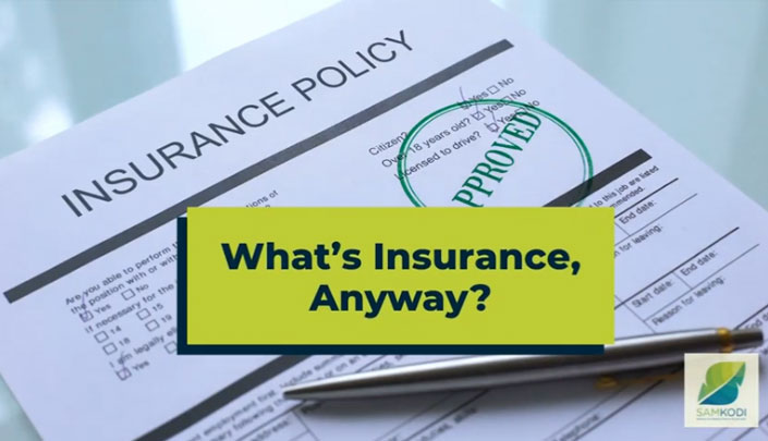 What’s Insurance, Anyway?